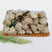 한우리 자연아름 백화고 선물셋트 (버섯선물셋트) 600g, 1box