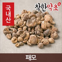 착한약초 국내산 패모 100g, 1개