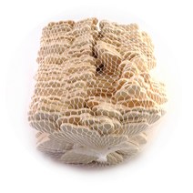 attizone 나무와패 와패 나무목걸이 메달 만들기재료, 나무와패(나비)-대용량(100개입)