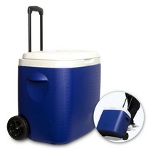 캠텔 CF 3800 38리터 캐리어형 아이스박스