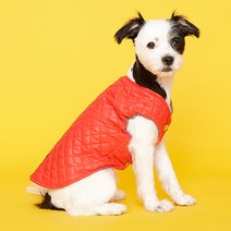[무료배송+9900원+정품티셔츠증정]퍼피갤러리 캔디이너패딩 패딩/코트/아우터 소형견바람막이 애견경량패딩, 레드