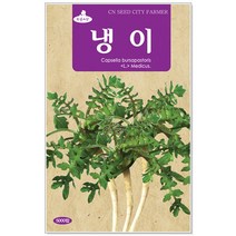 청농종묘 모듬 상추 씨앗 3000립 상추씨앗 채소씨 상추씨, 18_냉이(5000립)