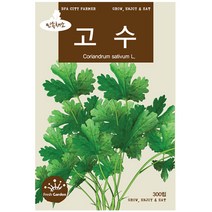 청농종묘 적환20일무 씨앗 600립 - 붉은무 빨간무 래디시 씨, 16_고수(300립)