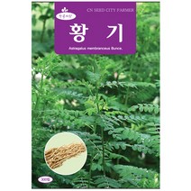 청농종묘 적환20일무 씨앗 600립 - 붉은무 빨간무 래디시 씨, 24_황기(300립)