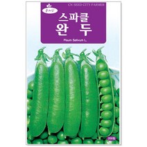 청농종묘 경수채 씨앗 15g 경수채씨앗 경수채씨 교나 미즈나, 29_스파클완두(200립)