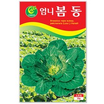 청농종묘 경수채 씨앗 15g 경수채씨앗 경수채씨 교나 미즈나, 11_엄니봄동(20g)