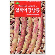 청농종묘 수세미 씨앗 30립 수세미씨 수세미씨앗 씨, 28_얼룩이강낭콩(70립)