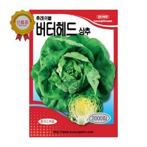 경신종묘 상추씨앗 후레쉬볼버터헤드상추 2000립