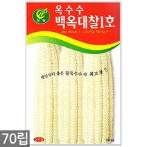 청농종묘 흰색 찰옥수수 씨앗 70립 옥수수씨앗 옥수수씨 씨 찰옥수수씨앗, 05_백옥대찰1호옥수수(70립)