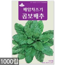청농종묘 흰색 찰옥수수 씨앗 70립 옥수수씨앗 옥수수씨 씨 찰옥수수씨앗, 01_곰보배추(1000립)