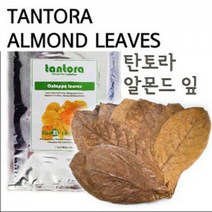 탄토라 알몬드 잎 나노수질개선 수질안정, 1개