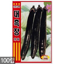 청농종묘 노랑 초당옥수수 씨앗 100립 초당옥수수씨앗 노랑옥수수씨앗 옥수수씨앗 옥수수씨, 11_대흑장가지(100립)