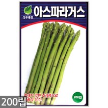 청농종묘 과일무 씨앗 100립 과일무씨앗 수박무씨앗 씨 무씨앗 무 과일무씨 수박무씨, 01_아스파라거스(200립)