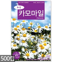 카모마일 씨앗 500립 / 허브씨앗 캐모마일 카모마일씨앗 허브씨 허브 꽃씨앗 씨, 13_허브_카모마일(500립)