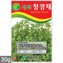 보리 새싹 씨앗 50g / 새싹씨앗 보리씨앗 보리새싹씨앗 새싹보리 보리씨 캣그라스 캣글라스 고양이풀, 19_새싹씨앗_청경채(30g)