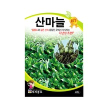 모칸도 세계산마늘 40립