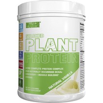 Evlution Nutrition 스택드 플랜트 프로틴, 내추럴 바닐라(Natural Vanilla), 680g, 1개