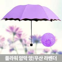 하하투게더 플라워 UV 차단 암막 양우산 라벤더 수동 3단 2중 튼튼한
