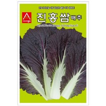 배추씨앗종자 진홍쌈배추 (500립)