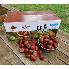 공주밤 TOP01