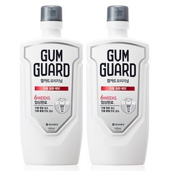 검가드 오리지널 잇몸 질환 예방 구강청결제, 1.2L, 2개