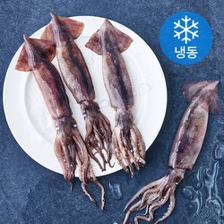 [로켓프레시] 고소한 내장 한입 통찜용 오징어 4~7개입 (냉동)