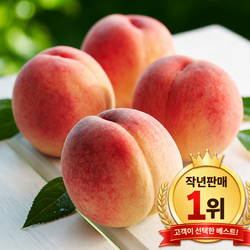 [작년판매1위] 당일수확 초고당도 딱딱이 복숭아, 1박스, 5kg