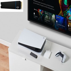 씨게이트 Game Drive M.2 SSD for PS5