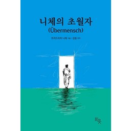니체의 초월자