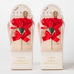 감사한 마음을 전하는 뷰티풀데코센스 비누꽃 카네이션 세트