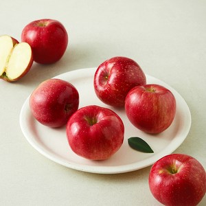 [로켓프레시] 영주마실 사과 소과 5~6개입