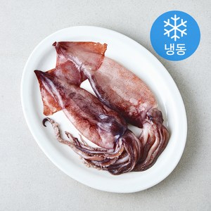 [로켓프레시] 국내산 손질 통 오징어 (냉동)