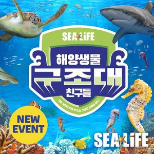 B3. ★ 1인 입장권