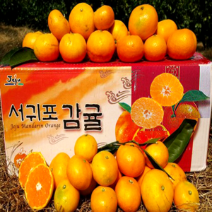 겨울신발 추천 상품