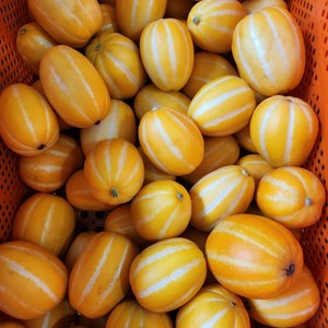 달코미성주참외 가정용혼합과