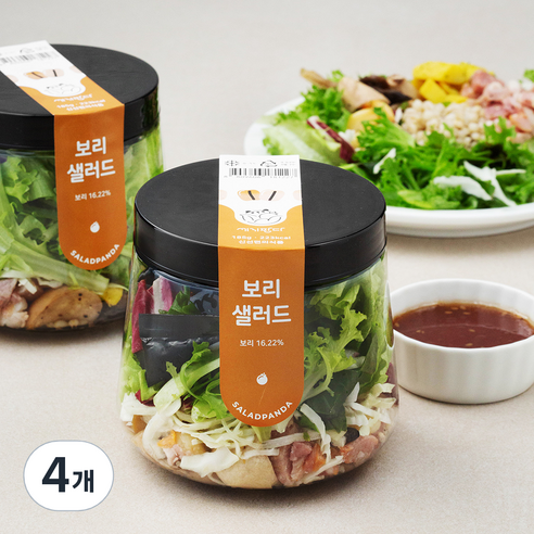 [로켓프레시] 세끼판다 보리 샐러드, 185g, 4개