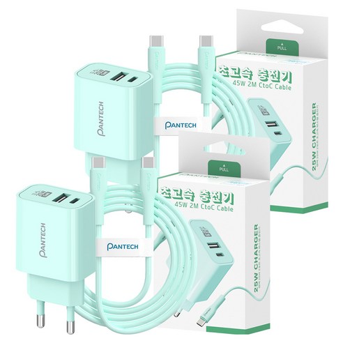 팬택 2포트 파스텔 C타입 고속충전기 25W + C타입 케이블 45W 2m 세트, 2세트, 민트
