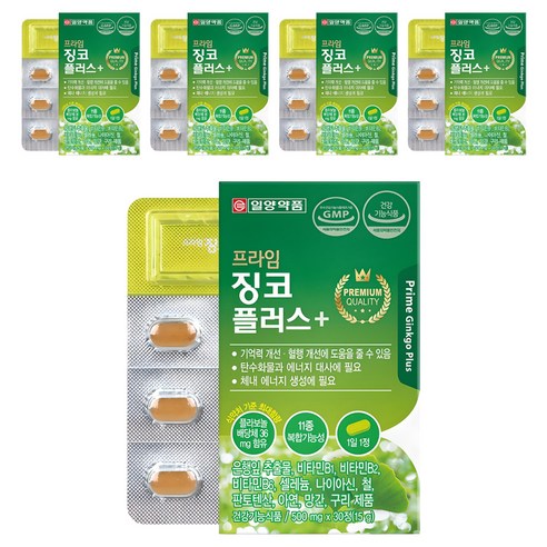 일양약품 프라임 징코 플러스