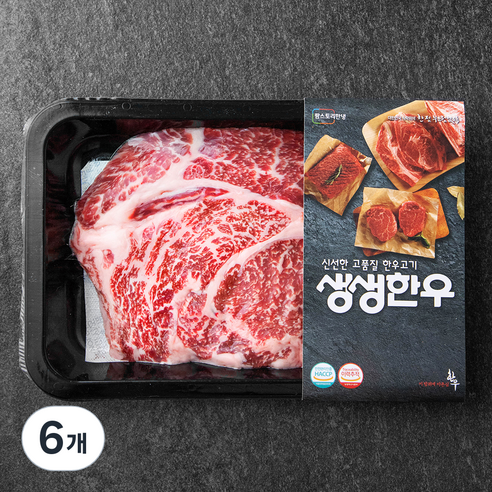 생생한우 1등급 숙성등심 구이용 (냉장)