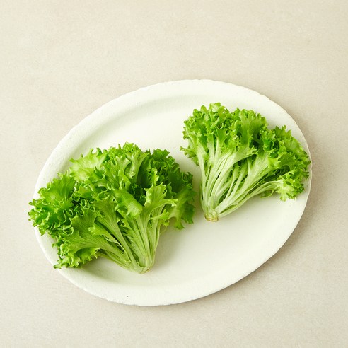 [로켓프레시] 친환경 인증 이자벨 멀티립
