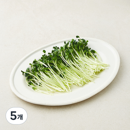 무순, 5개, 150g