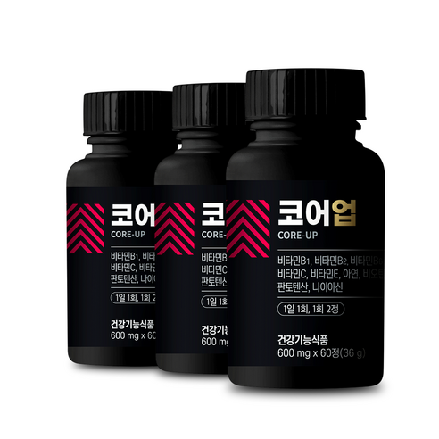 코어업 영양제