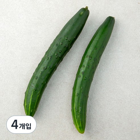 취청오이