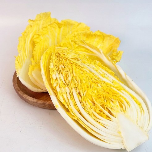 신선팜 속이꽉찬 국내산 알배기 쌈배추, 4개, 350g