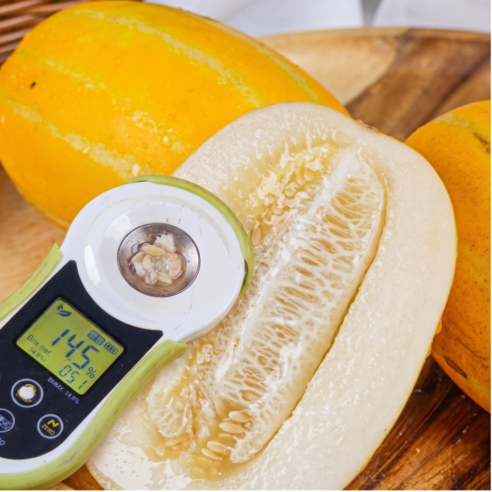 성주 참외 5kg 3kg 가정용 고당도 랜덤 혼합 로열과 2kg 산지직송, 1박스, 2k(랜덤과)