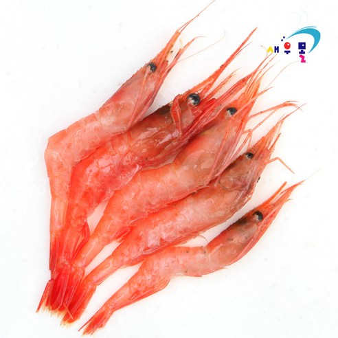 -60도 동해 단새우 (소) 1kg 횟감 단새우회 가능