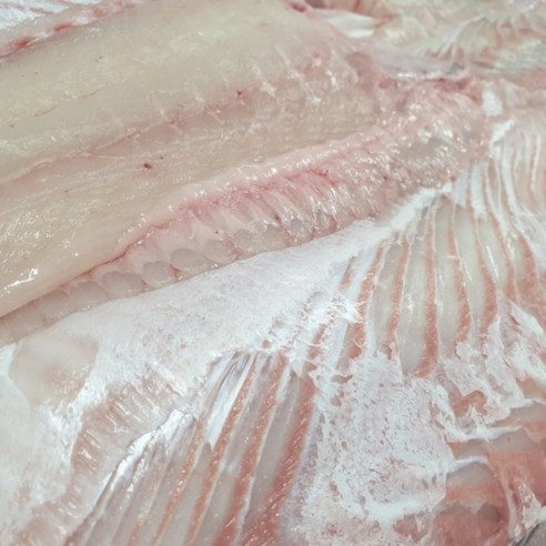 자연산 다시마숙성 대광어회 필렛