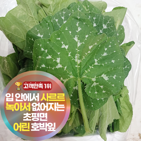 삼시세끼연구소 야들야들 최상품 어린 호박잎 호박잎쌈