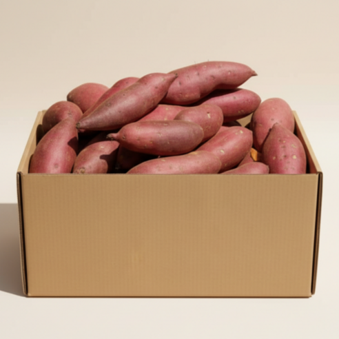 레드이츠 세척 프리미엄 해남 고구마 꿀고구마, 1박스, 한입 5kg (20~50g)