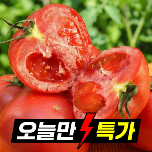 [24시간초특가] 딱100박스만 과즙팡팡 새콤달콤 완숙토마토